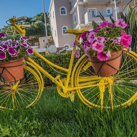 Planos Beach Hotel Hotel Tsilivi (Zakynthos)